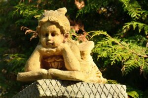 313360094_803056564470524_6314923339103280298_n