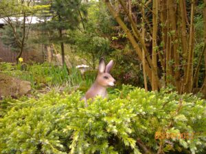 299944678_391329369817889_4584140367535755550_n