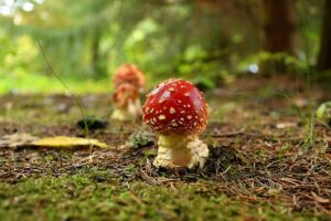 310818303_777997836976397_5191456323037816783_n