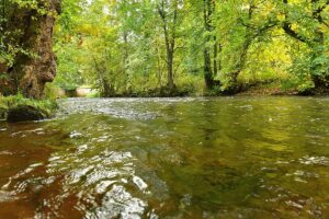 310841107_777997776976403_6046321124098448833_n