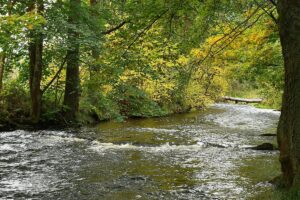 311076818_777997823643065_43671071930475298_n