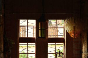 311204083_777997650309749_2605745205302560214_n