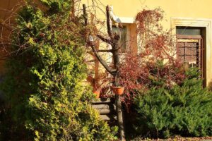 312201078_803056884470492_4151880787175520409_n