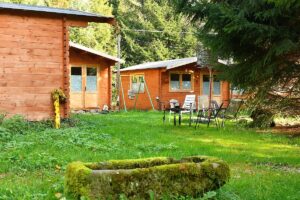 312379877_803056841137163_9189626053840195996_n