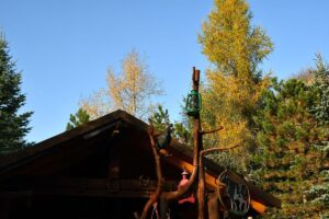 312565926_803056514470529_4587918373663109338_n