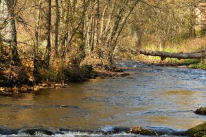 312868036_803056974470483_5542896816452897839_n