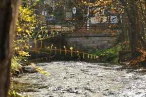 313094292_803056764470504_1352879808009556536_n