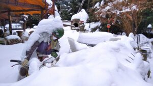 329003566_1629277770834810_2057966700723408862_n