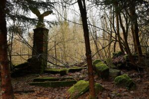 341018382_233707305815676_3906169531861734026_n