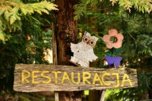 341021781_732200708584501_4574945960552360773_n