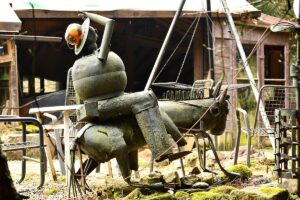 341025149_216614860982773_1251841055782131996_n