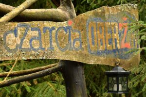 341092482_953737948973221_6834462835296136140_n