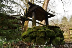 341093618_173273792276954_1939778532632473023_n