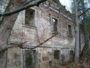 464723_229891307125863_1511697797_o