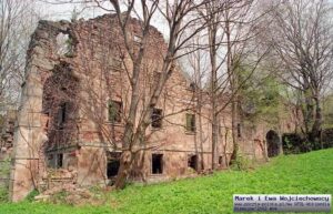 Dwor_soltysow_w_Niemojowie_ruina_Niemojow_134192