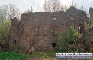 Dwor_soltysow_w_Niemojowie_ruina_Niemojow_134196