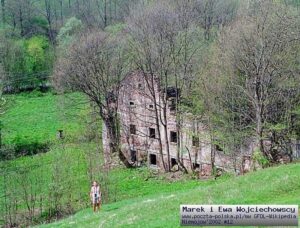 Dwor_soltysow_w_Niemojowie_ruina_Niemojow_134197