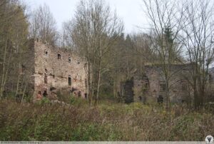 Dwor_soltysow_w_Niemojowie_ruina_Niemojow_3414606