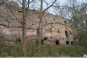 Dwor_soltysow_w_Niemojowie_ruina_Niemojow_3414607