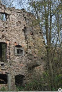 Dwor_soltysow_w_Niemojowie_ruina_Niemojow_3414608