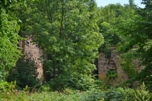 Dwor_soltysow_w_Niemojowie_ruina_Niemojow_4128233