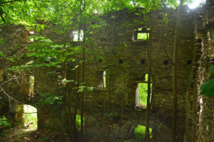 Dwor_soltysow_w_Niemojowie_ruina_Niemojow_4128235