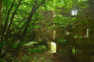 Dwor_soltysow_w_Niemojowie_ruina_Niemojow_4128236