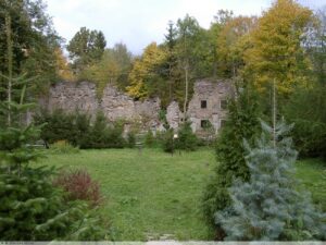 Dwor_soltysow_w_Niemojowie_ruina_Niemojow_4360378